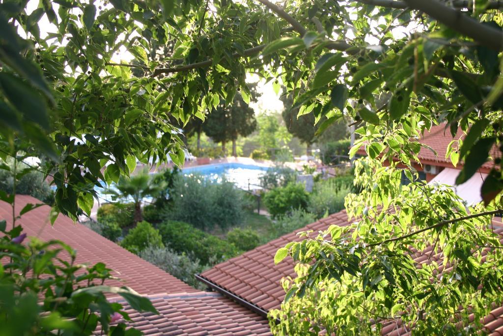 Agriturismo Ruralia Santa Domenica Talao Exterior foto